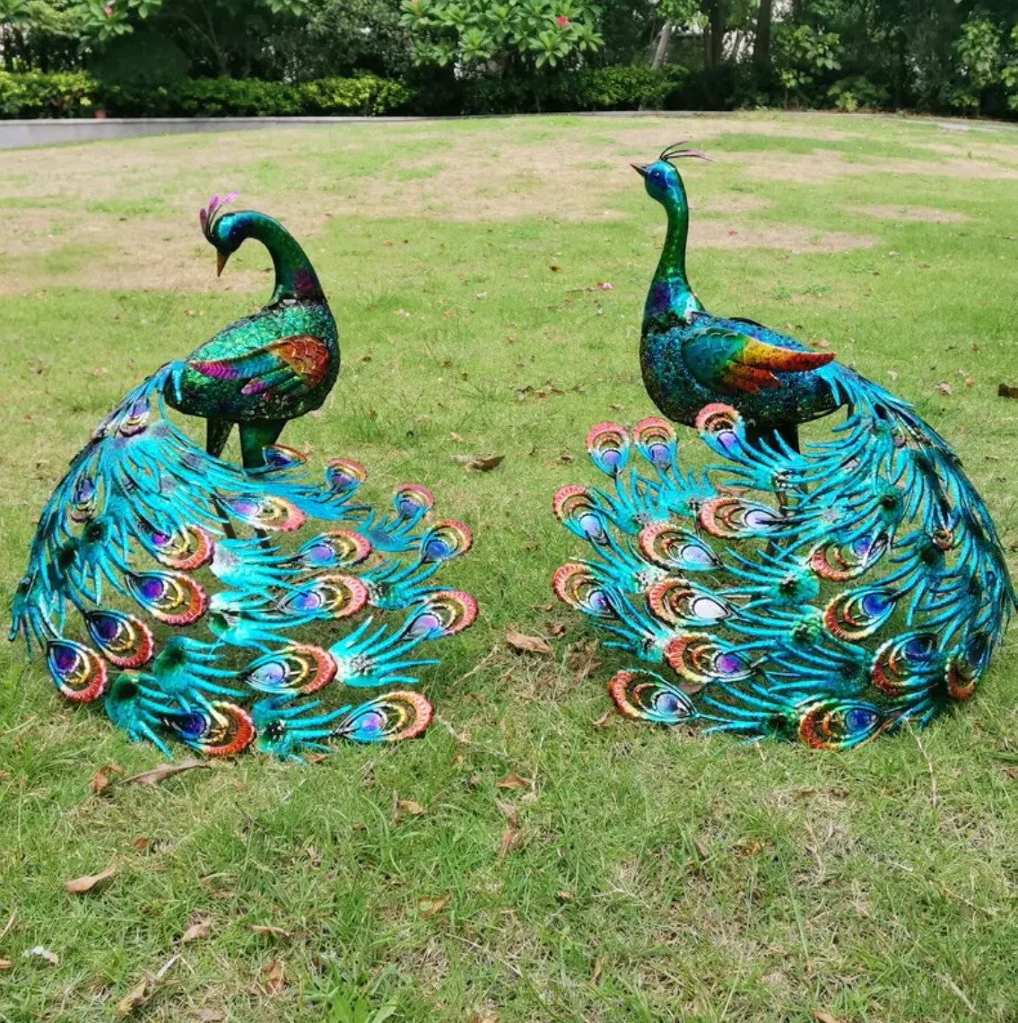 Garden Metal Peacocks