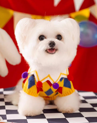 Circus Dog Knitted Sweater