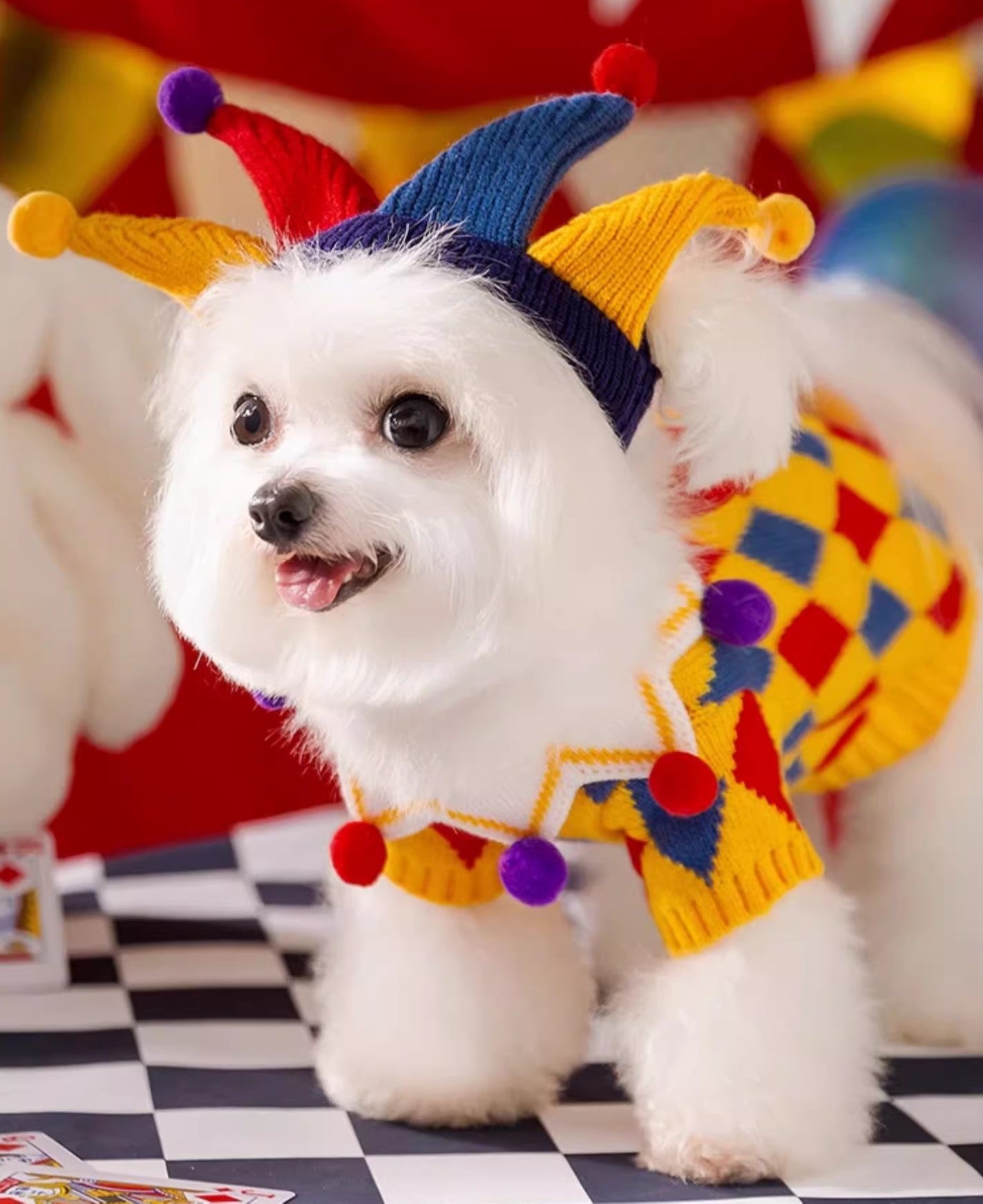 Circus Dog Knitted Sweater