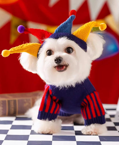 Circus Dog Knitted Sweater