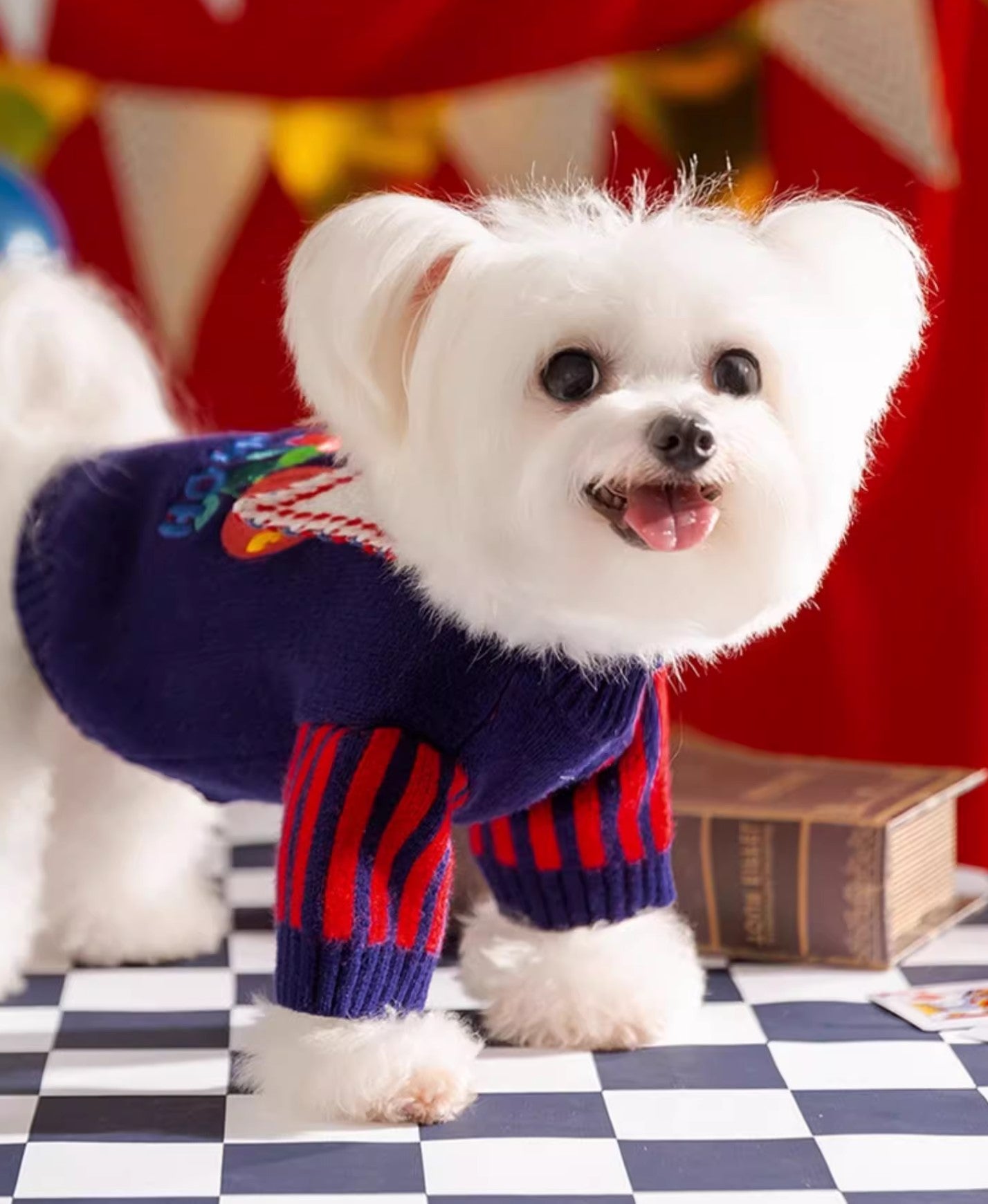 Circus Dog Knitted Sweater